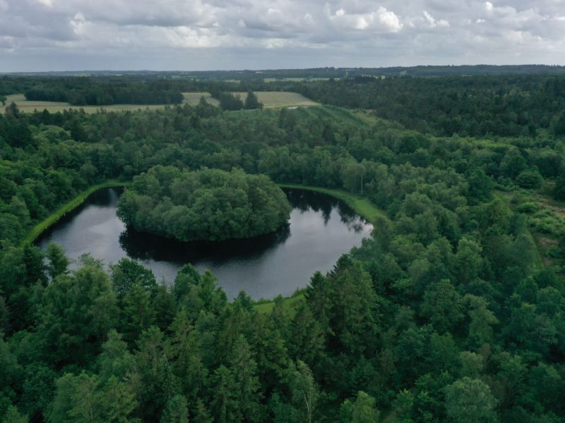 Denne skovsø er nem at gå rundt om, fiske i eller bare nyde naturen