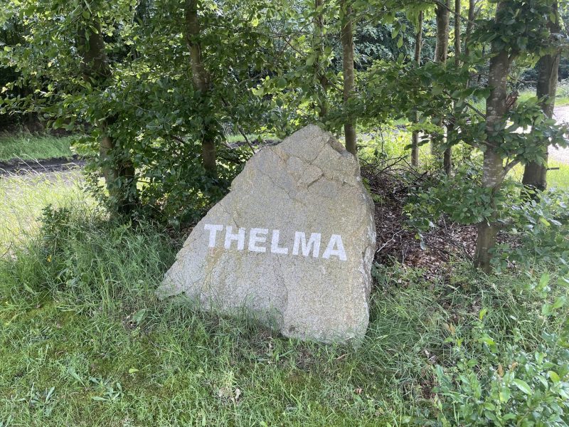 Thelma er en velkendt plantage på Vorbasseegnen